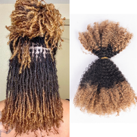 Cheveux humains en vrac 100% naturels, double tirage, non traités, pour tressage, sans trame, Afro Kinky