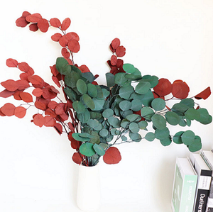 Foglie di mela eterna foglie rotonde foglie di eucalipto foglie di eucalipto foglie di eucalipto casa composizione floreale materiale da te - Product Image 1