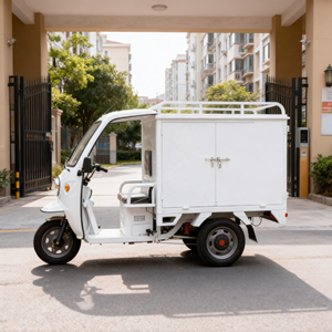 <span class=keywords><strong>Tricycle</strong></span> électrique fermé de haute qualité 1000W, moto à trois roues avec capacité de charge de 200-300 kg pour le transport de marchandises - Product Image 3