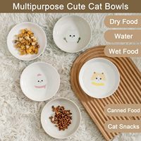 Ensemble de bols en céramique pour chat de 5,5 pouces de large, 5 assiettes colorées pour chatons, motifs mignons, nourriture humide, eau sèche, moustaches, outils de mesure