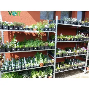 Greenhouse Nursery Shipping Transport Storage CC Racks Flower Plant Carts Trolley