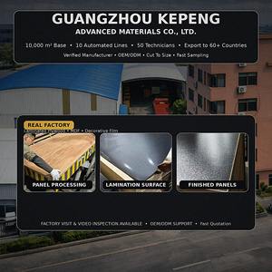 Paneles de Chapa de Abedul ATA |   Contrachapado Laminado de 18 mm (E1 Ecológico) |   Diseño Moderno OEM/ODM, Textura Personalizada, Uso en Exteriores - Product Image 5