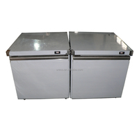 Congélateur de comptoir commercial personnalisé à une porte, 170L, 5 étoiles, écoénergétique, en acier inoxydable, à froid direct, vente en gros fabricant