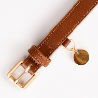 Collier de chien en cuir souple avec plaque signalétique en gros Stock personnalisé de luxe fait à la main recyclé laisse pour animaux de compagnie accessoires de marche