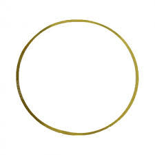 IVECO STRALIS için o-ring, silindir gömleği 99448192 - Product Image 4