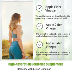 High Quality Berberine Capsules with Berberine HCI Metabolic Health and Detoxification Help Promote Intestinal Health Capsules - Product Image 6