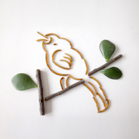 Ver de repas séché en creux pour les oiseaux, emballé dans un baril, 100g