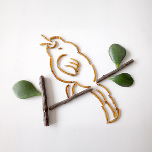 יבש Mealworm עבור ציפורים ארוז חבית 100g - Product Image 6