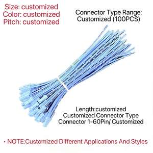 2핀 JST LED 스트립 연장선 20cm 남성-여성 LED 전원 케이블 (LED 라이트 스트립용) - Product Image 1
