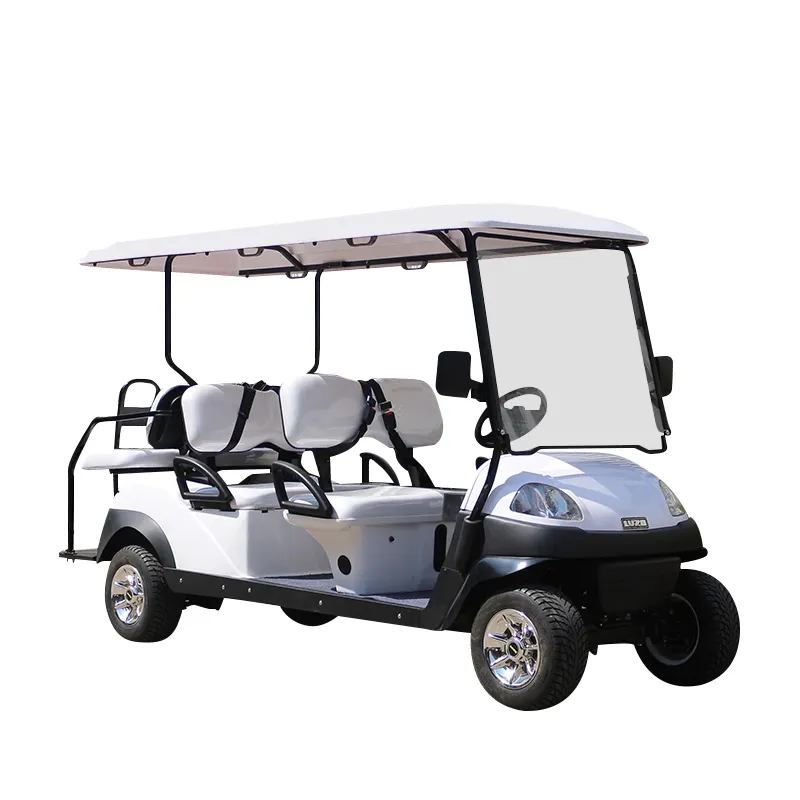 Chargeur automatique 4300*1300*2080mm * voiturette de golf électrique CE 220V 7-8 6 8V150A Batteries plomb-acide sans entretien Buggy prix