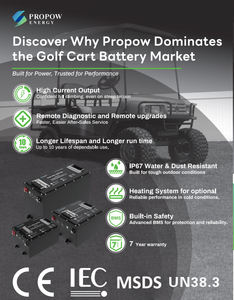 절삭 가장자리 LiFePO4 기술 유연한 치수 LiFePO4 51.2V 리튬 골프 카트 배터리 - Product Image 6