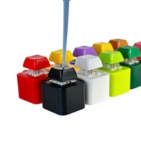 Porte-clés en plastique enregistrable et rechargeable, style mignon, breloque anti-stress fantaisie, cadeau créatif pour fans