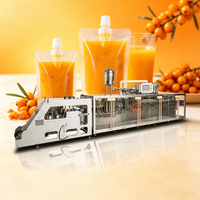 Fabricant de machines de remplissage et de scellage automatiques horizontales à sortie unique pour sachets de liquides préformés