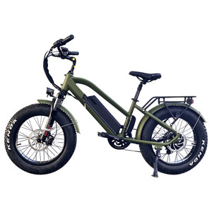 十大ebike制造商中国工厂最快16英寸20英寸胖轮胎电动自行车bicicletta mtb电动自行车 - Product Image 6