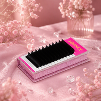 TDANCE Extensions de cils en cachemire en gros, volume, noir mat, plateaux de cils, logo personnalisé, fournitures de cils, marque privée