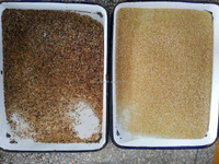 Nouvelle machine de tri de riz certifiée ISO et CE, personnalisée, aux Philippines, 320 avec composants de moteur pour moulin à riz