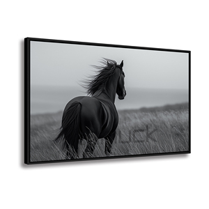 Ngựa Đen Trong Các Lĩnh vực sương mù khung nghệ thuật in tranh nghệ thuật - Product Image 1
