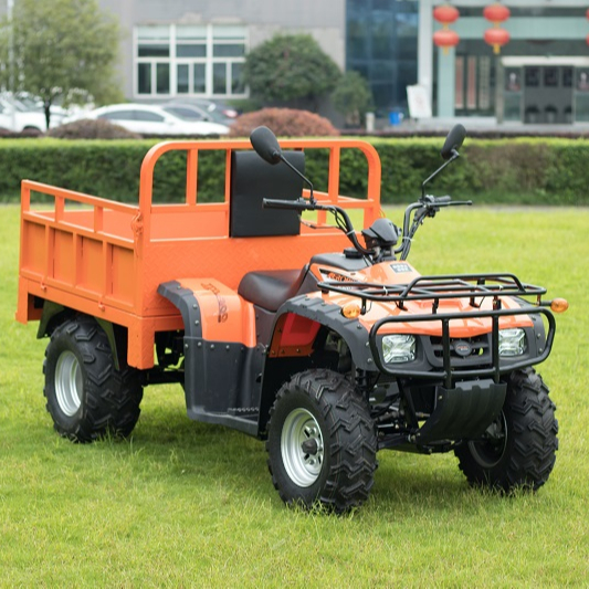 Грузовой квадроцикл в москве. Грузовой квадроцикл в москве. Квадроцикл хаммер карго 200. Квадроцикл yacota slogger. Грузовой квадроцикл фермер 250.