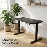 Bureau debout extensible en acier inoxydable AOR, design moderne pour le bureau et le gaming, plateau de qualité E0, facilement transportable, commande directe usine, protection contre la surchauffe