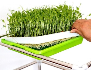 <span class=keywords><strong>Plateau</strong></span> de <span class=keywords><strong>semis</strong></span> en plastique <span class=keywords><strong>polystyrène</strong></span>, plantation hydroponique pour pépinière, <span class=keywords><strong>plateau</strong></span> de plantation de bébé - Product Image 4