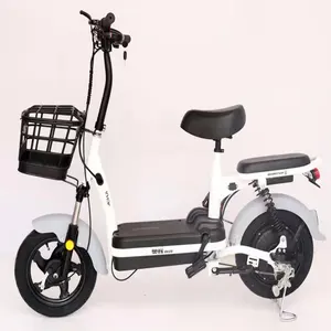 새로운 성인 리튬 Ebike 1000/1500w 모토 전기 저렴한 가격 저렴한 전기 자전거