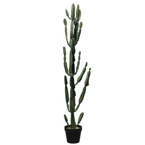 Gran <span class=keywords><strong>cactus</strong></span> verde árbol de plástico planta en maceta Micro arreglo de paisaje para decoración de interiores conjunto paisajismo - Product Image 6