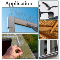 Vente chaude En Plein Air Base En Plastique En Acier Inoxydable Pointes D'oiseaux Anti Pigeon Lutte Antiparasitaire