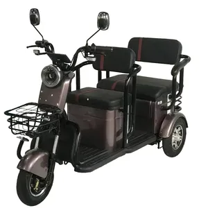Penjualan pabrik Tiongkok sepeda listrik 3 roda dalam stok pemasok Tiongkok harga sepeda roda tiga listrik Terbaik