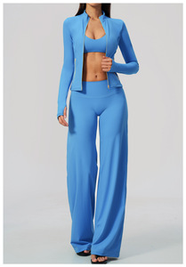 Women Blue Casual <b>Short</b> 2 Piece <b>Set</b> Sleeveless Zipper <b>Top</b> Wide Leg Pants Breathable Knitted Polyester Striped Spring/Summer - Product Image 3