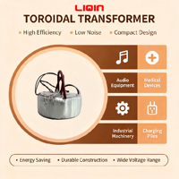 Transformateur de puissance toroïdal pour amplificateur audio, monophasé, entrée 24V 220V, 50/60Hz, noyau en ferrite, OEM personnalisé, CE RoHS, faible MOQ