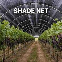 Hoge treksterkte landbouw schaduwdoek UV-gestabiliseerd zonwerend net voor fruitteelt, kwekerij, zaailingen en groenteteelt