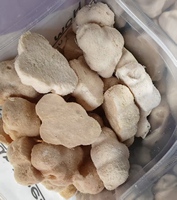 Camilan Beku Kering 100% Daging Kambing, Daging Sapi, dan Daging Kelinci untuk Kucing dan Anjing dalam Kemasan Stoples Plastik Label Pribadi