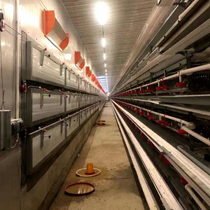 <span class=keywords><strong>Cage</strong></span> de caille d'équipement de ferme de volaille de type H de haute qualité à vendre - Product Image 2