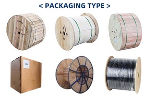 Cable de <span class=keywords><strong>Fibra</strong></span> Óptica <span class=keywords><strong>ADSS</strong></span> de 12/<span class=keywords><strong>24</strong></span> <span class=keywords><strong>Hilos</strong></span>, 5km, Mini <span class=keywords><strong>ADSS</strong></span> ASU G652D, Cable de <span class=keywords><strong>Fibra</strong></span> Óptica de 48 <span class=keywords><strong>Hilos</strong></span>, <span class=keywords><strong>ADSS</strong></span> SPAM 200m - Product Image 6