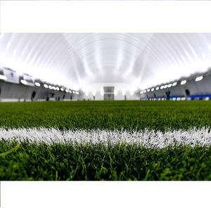 Domo Inflable para Deportes al Aire Libre, Estructura de Membrana Grande con Soporte de Aire, Carpa Inflable para Baloncesto - Product Image 4