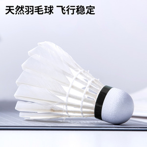 F2201 Goose Feather Shuttlecock Durable Training Badminton Ball Outdoor Use 6pcs Per Tube - Product Image 4