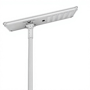 Lampioni Solari IP65 per Pali Elettrici Rurali con Modello LYA, Illuminazione Continua Tramite Controllo Luminoso - Product Image 1