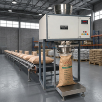 Machine d'ensachage automatique de matériaux en vrac, équipement de remplissage de sacs en papier de précision, capacité de 150-170 kg/h pour une efficacité élevée
