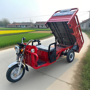 Sepeda Listrik, truk es krim listrik 3 roda 150Cm 1200W - Product Image 1