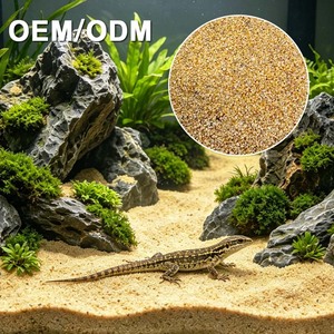 Sable naturel jaune doré en promotion pour <span class=keywords><strong>aquarium</strong></span>, aménagement paysager et substrat pour reptiles - Product Image 1