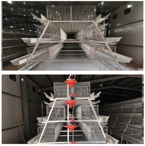 Cage à poules automatique à faible bruit pour élevage avicole, équipement d'élevage <span class=keywords><strong>de</strong></span> volailles entièrement automatique pour ferme - Product Image 6