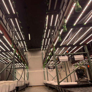 Ngân sách tốt nhất 4x4 4x6ft 645W 720W 800W 1000W Samsung lm301b lm301h EVO flexstar dẫn phát triển đèn 2023 - Product Image 1