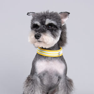 <span class=keywords><strong>Collar</strong></span> para Cachorro con Hebilla de Seguridad, Collares Ajustables Suaves para Perro, Diseño Moderno, Nuevo, Económico, Color Caramelo, <span class=keywords><strong>Collar</strong></span> Suave para Perro - Product Image 1