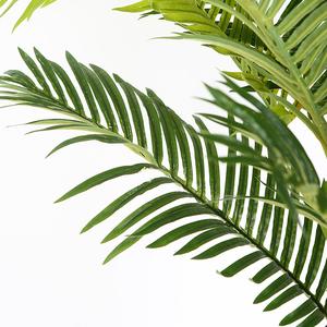Taille personnalisée Décoration Gazon Artificiel Et Arbres Pour La Rue <span class=keywords><strong>palmier</strong></span> Aréca - Product Image 4