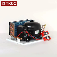 Tianke Mini-Kondensator-Kompressor für Sofortkühlung Wasseraufbereiter Spender Produktion Energiesparend Automatisch Umweltfreundlich