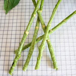 Ortensie Artificiali di Alta Qualità, Fiori di Ortensia in Lattice Realistici a Testa Grande, Verde e <span class=keywords><strong>Bianco</strong></span>, per Decorazioni Matrimoniali - Product Image 4