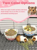 Bol d'alimentation suspendu en céramique, anti-déversement, pour chinchilla, cochon d'Inde, lapin, hamster syrien, furet, gerbille