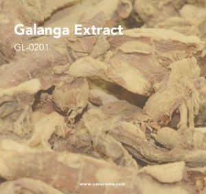 Extracto Líquido Natural Fresco de Galanga (GL-0201) Aroma Van - Product Image 1