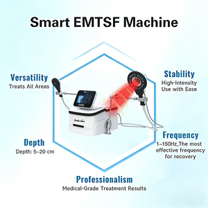 스칼렛 휴대용 EMTT 치료기, PEMF 스포츠 부상 치료 및 통증 완화를 위한 물리치료 장비로 사용됨 (동물용) - Product Image 4