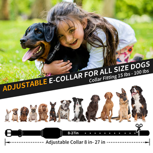 Portable Rechargeable <b>Vibration</b> Sound Wireless Dog Training System Electric Shock Training Collar with <b>Remote</b> Control - Product Image 2